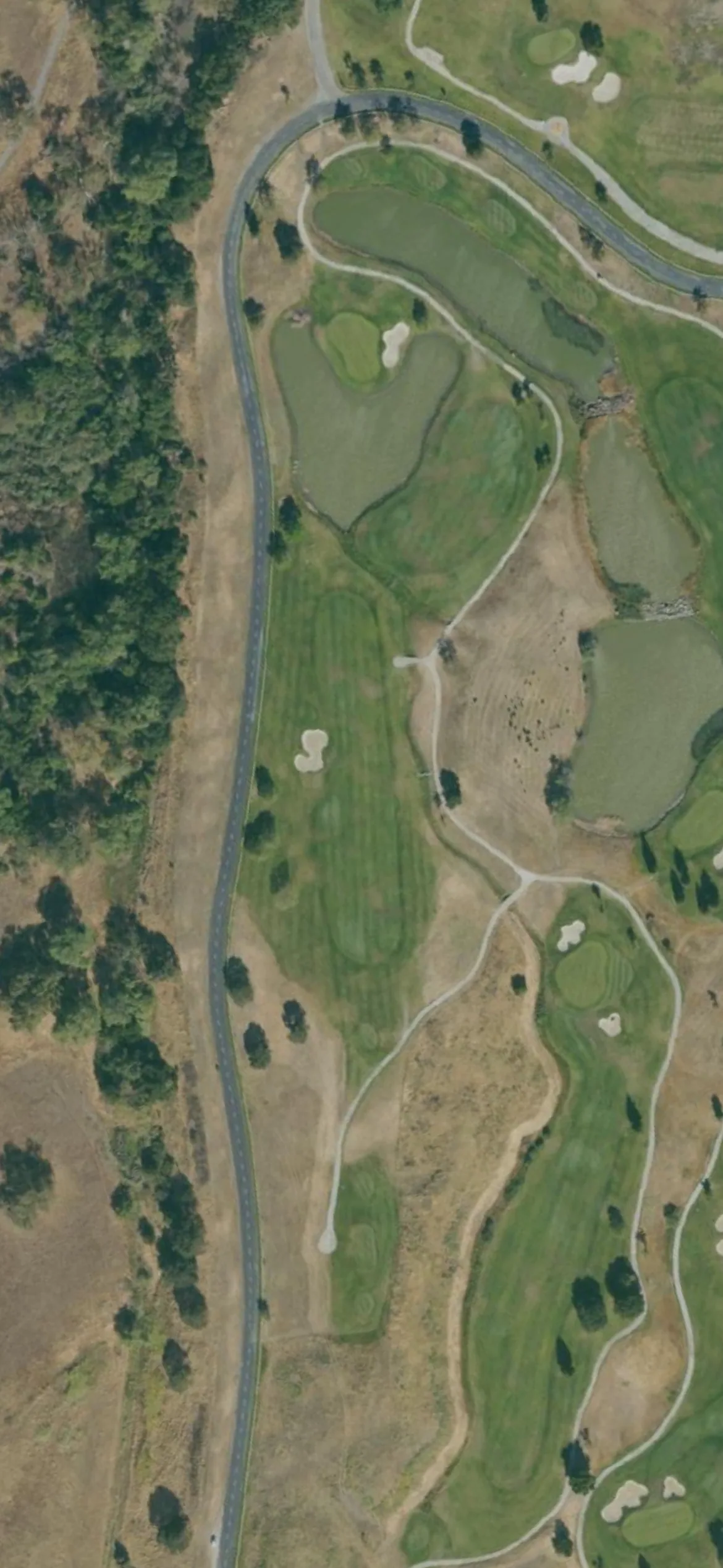 Coyote Creek GC - Tournament hole 17 aerial preview, par 5, 540 yards