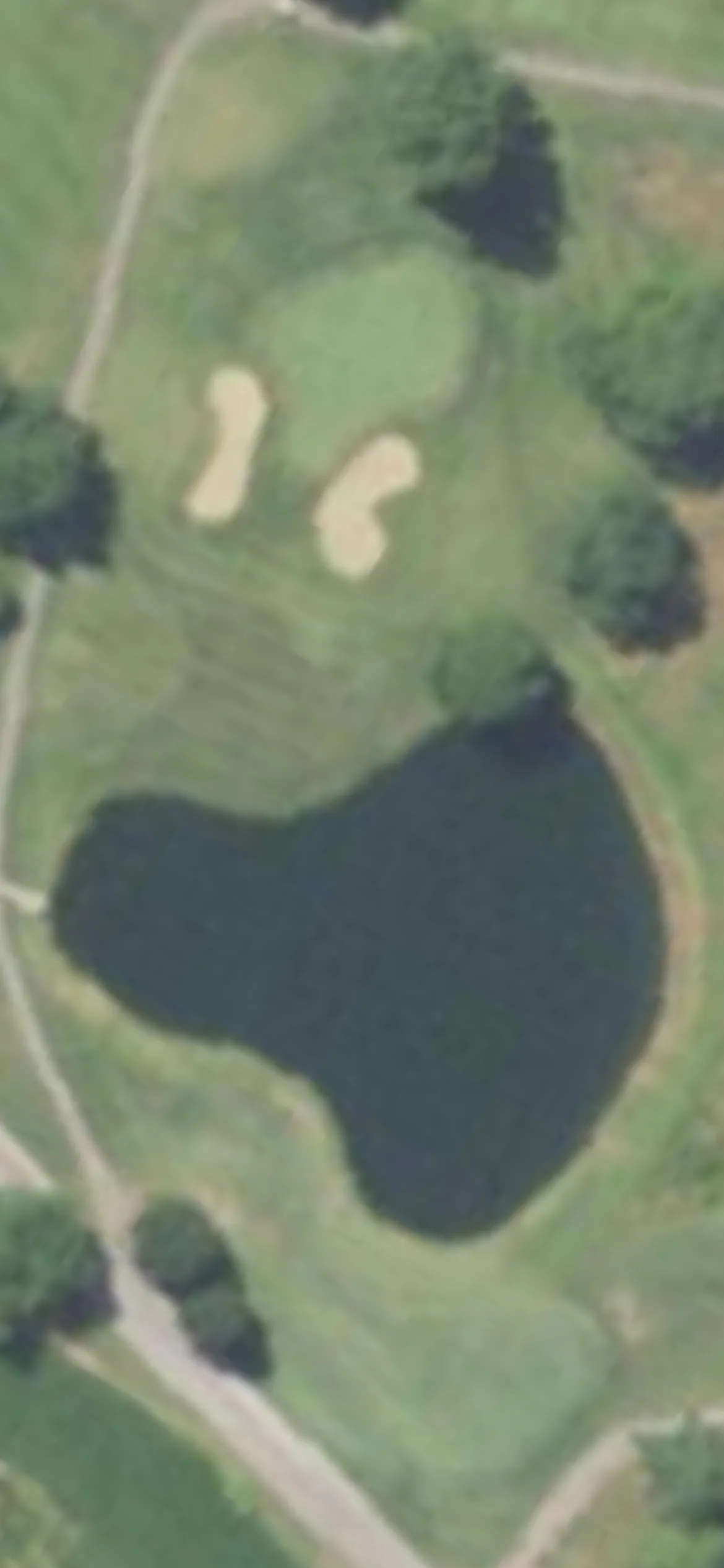 Tamarack Country Club hole 17 aerial preview, par 3, 134 yards