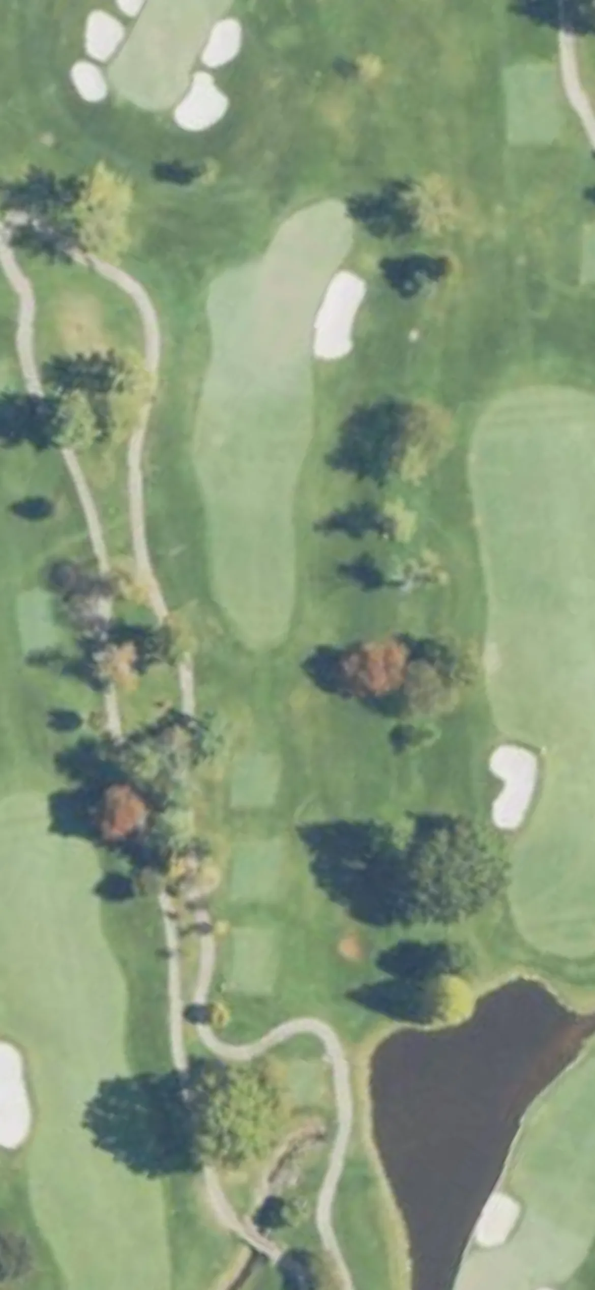 Westwood Country Club hole 17 aerial preview, par 3, 218 yards
