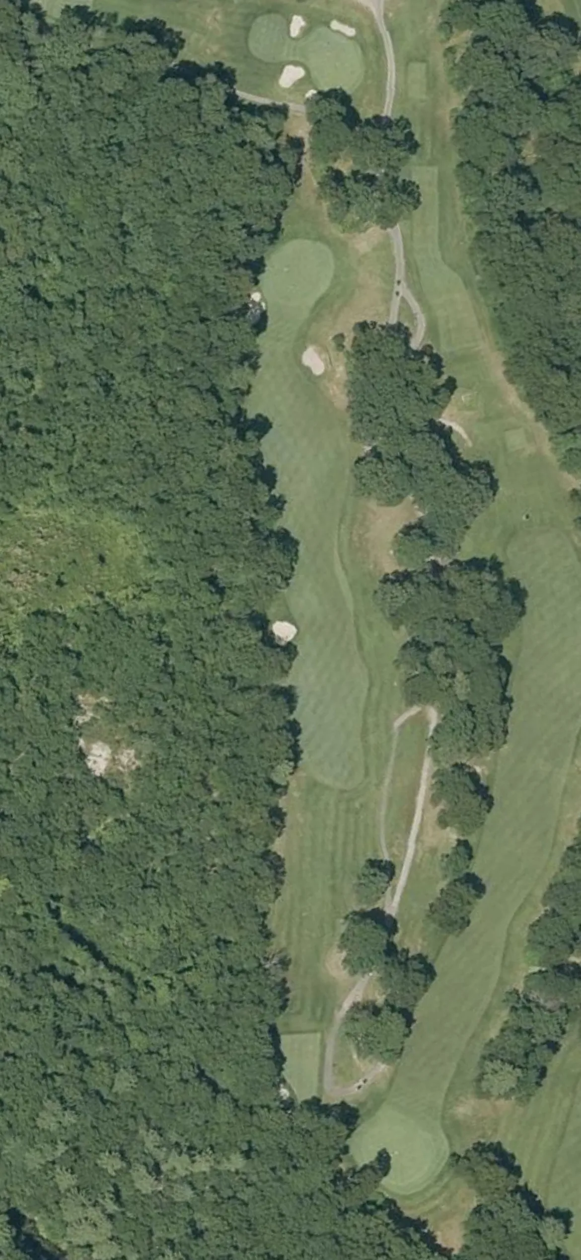 George Wright Municipal Golf Course hole 6 aerial preview, par 4, 384 yards