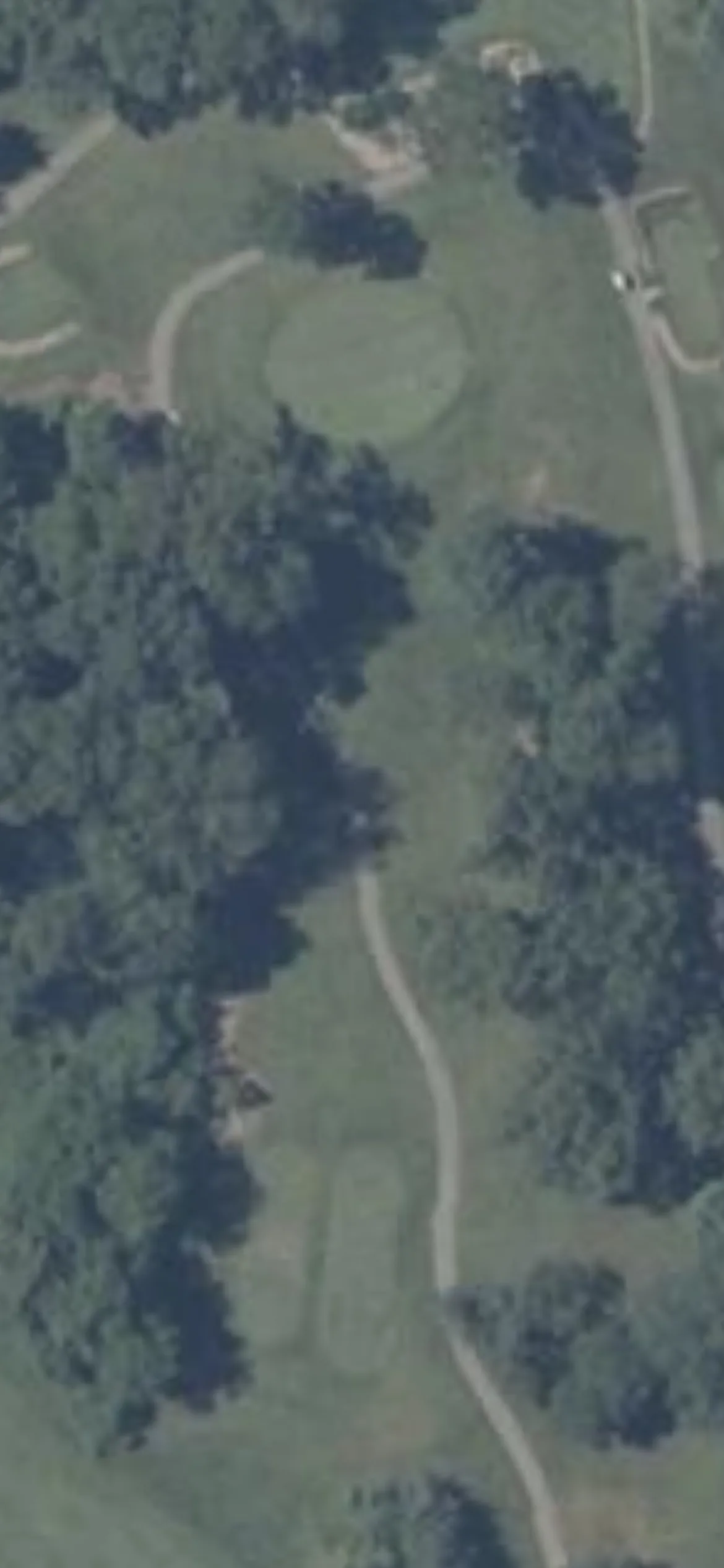 Meadow Valley Golf Club hole 8 aerial preview, par 3, 138 yards