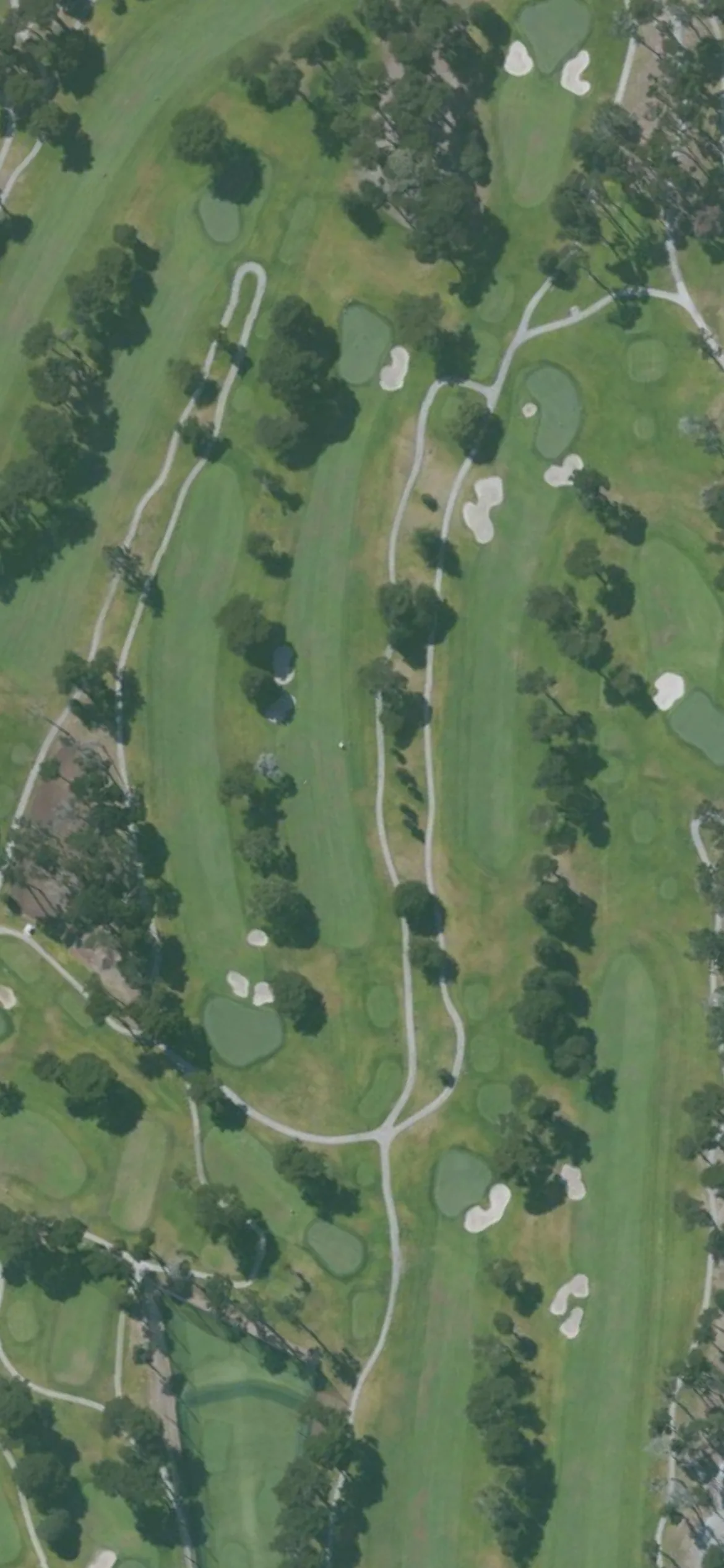 TPC Harding Park GC hole 2 aerial preview, par 4, 461 yards