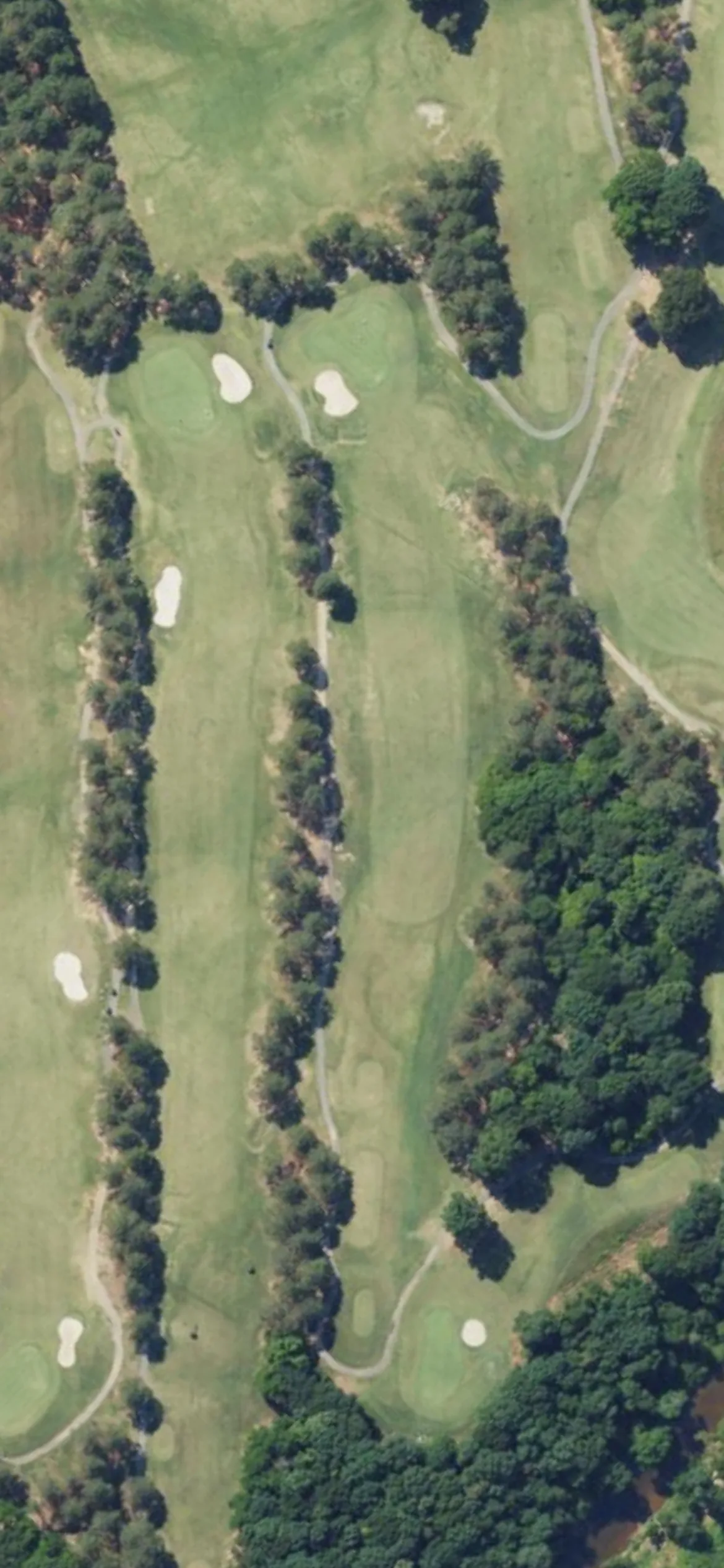 Eagle Chase GC hole 17 aerial preview, par 4, 374 yards