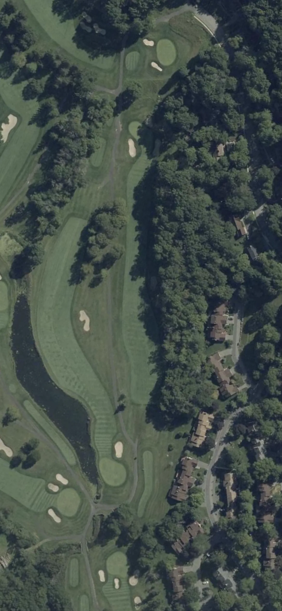 Panther Valley Country Club hole 8 aerial preview, par 4, 439 yards