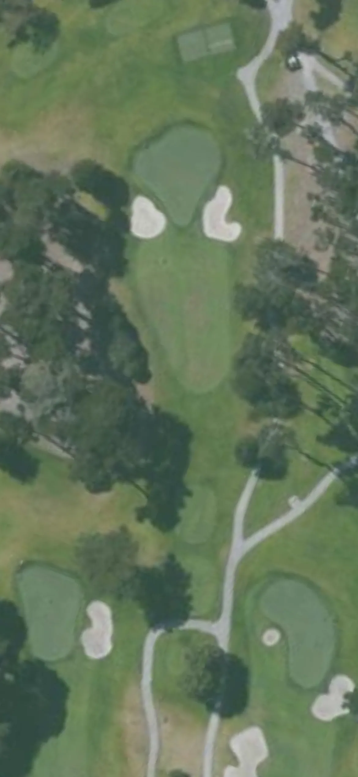 TPC Harding Park GC hole 3 aerial preview, par 3, 183 yards