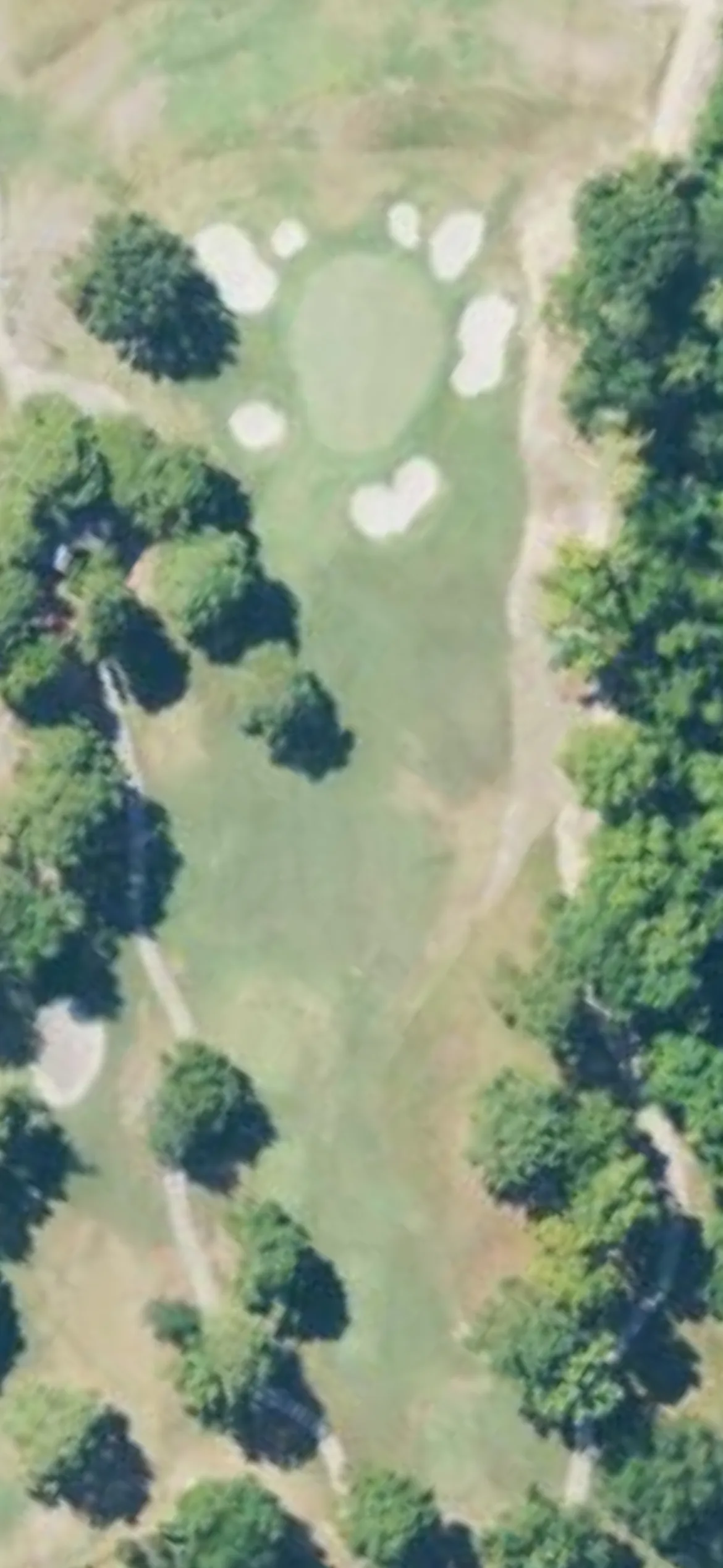 Canebrake Country Club - Canebrake Golf Club hole 4 aerial preview, par 3, 181 yards