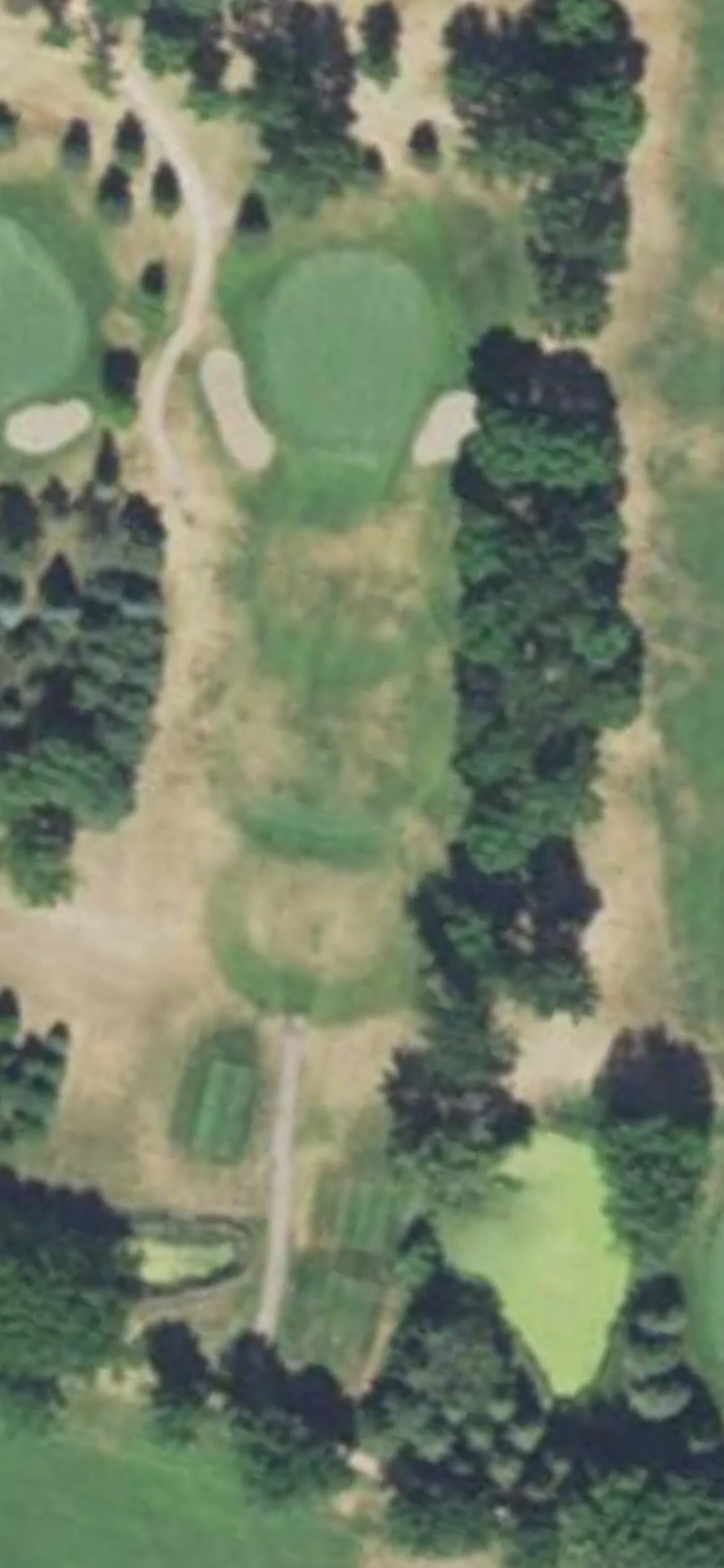 Litchfield Golf Club hole 3 aerial preview, par 3, 174 yards