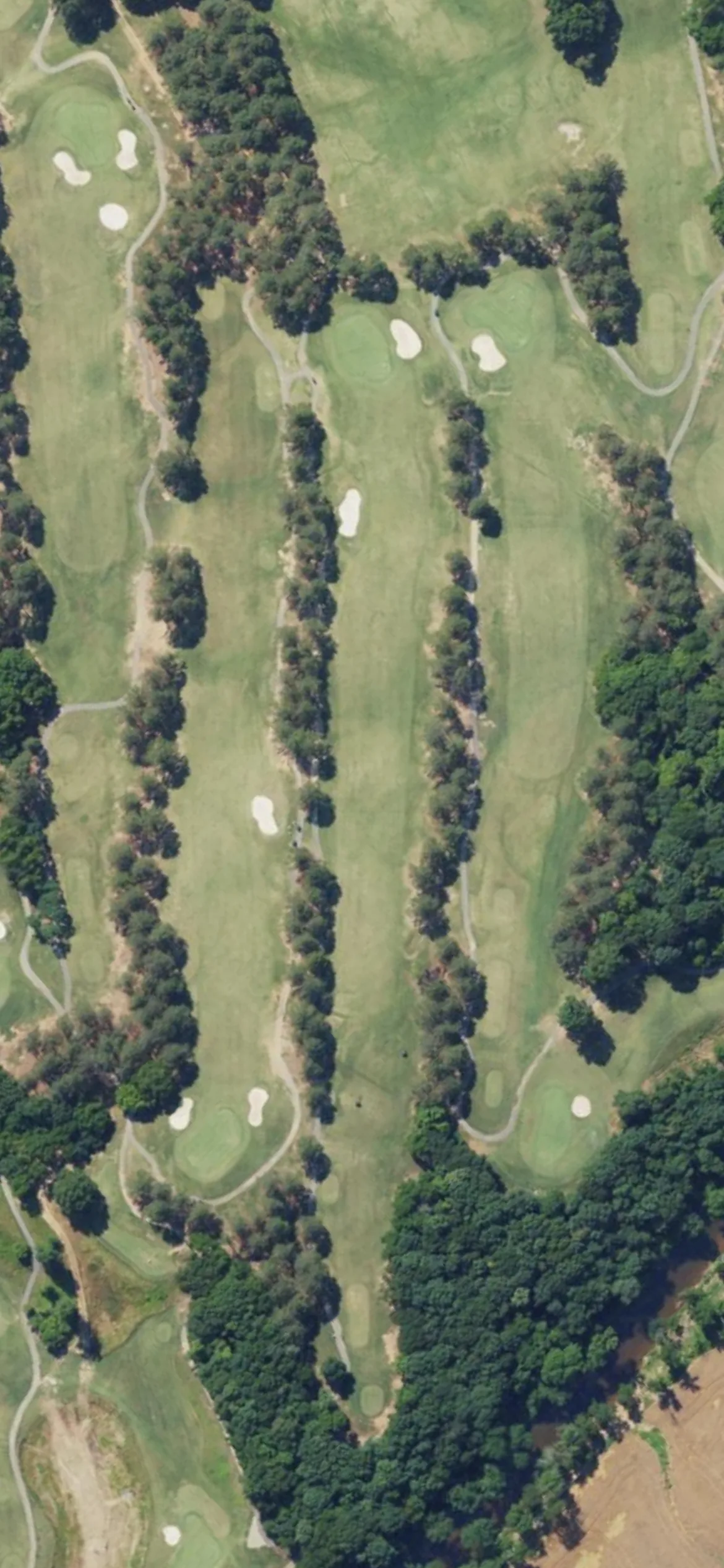 Eagle Chase GC hole 7 aerial preview, par 5, 510 yards