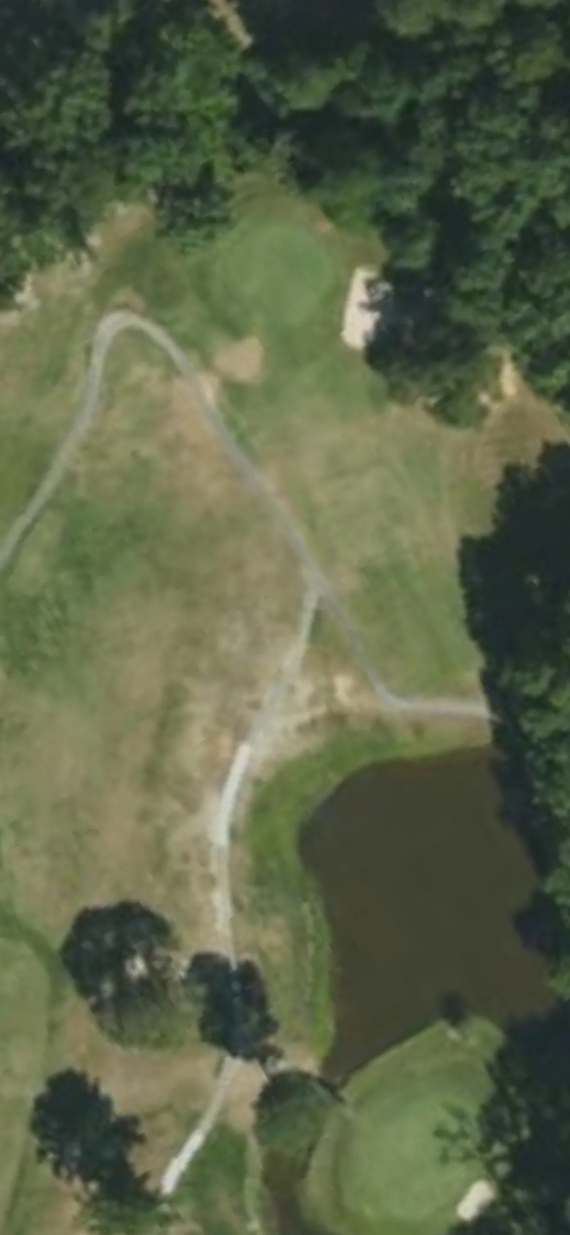 Southern Wayne CC hole 8 aerial preview, par 3, 196 yards