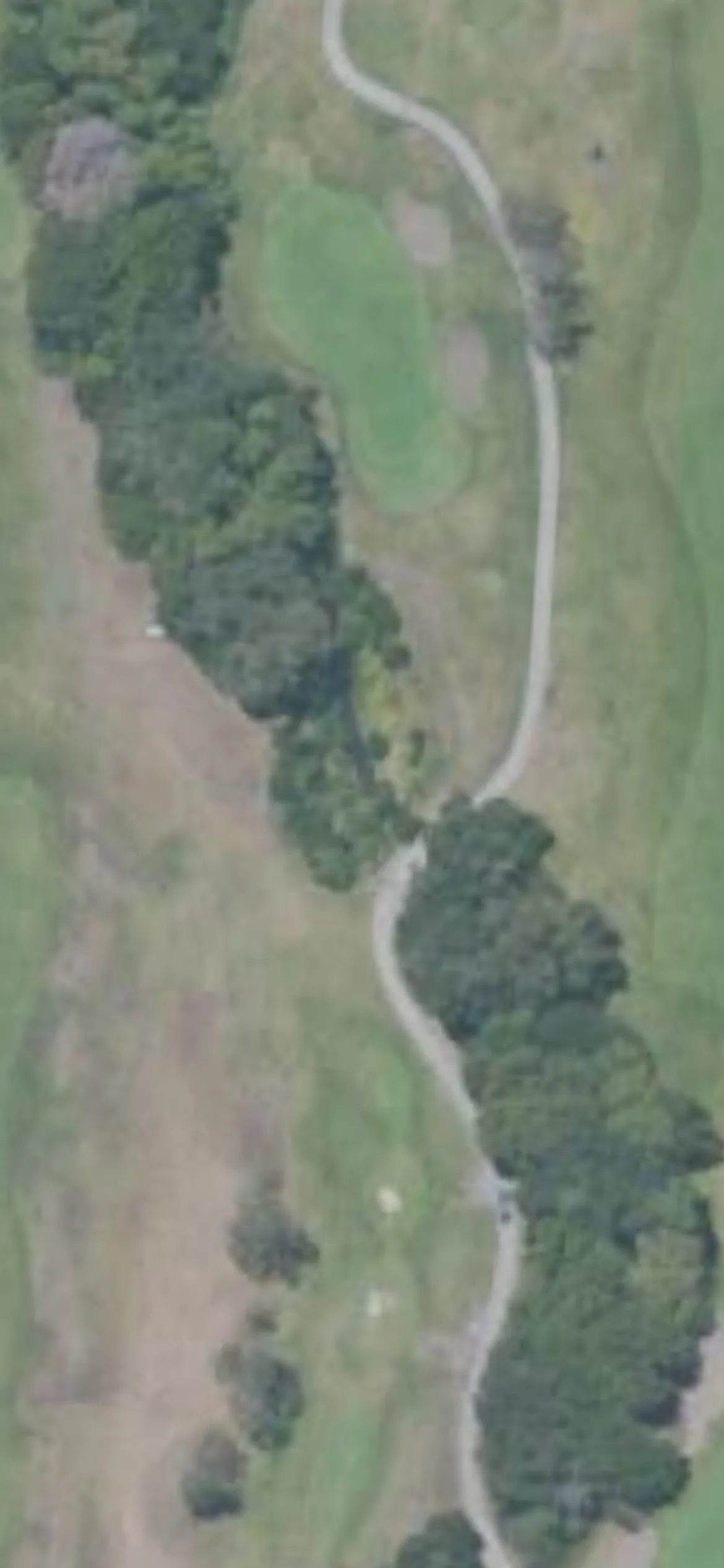 Chardonnay GC hole 12 aerial preview, par 3, 206 yards