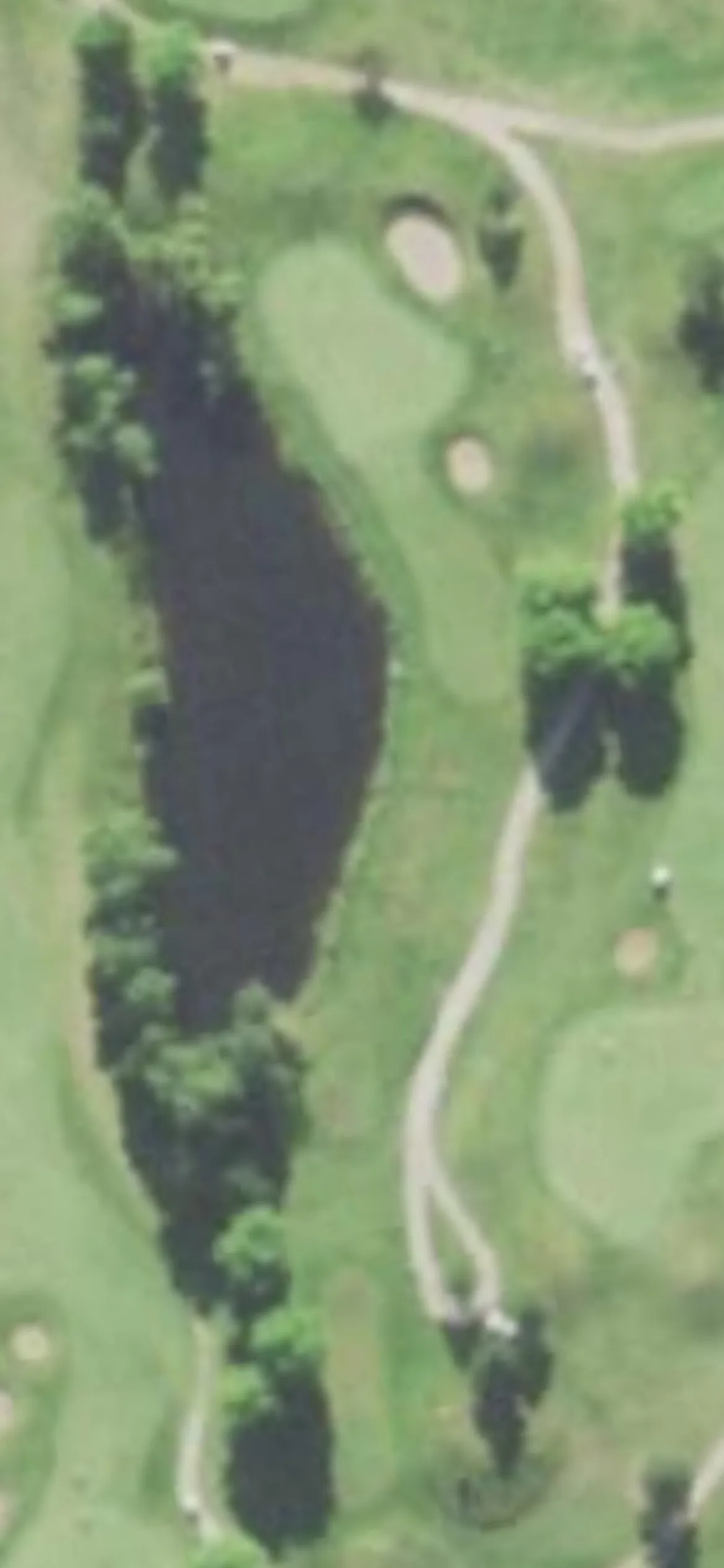 Par 4 Resort - Foxfire Golf Club hole 7 aerial preview, par 3, 158 yards