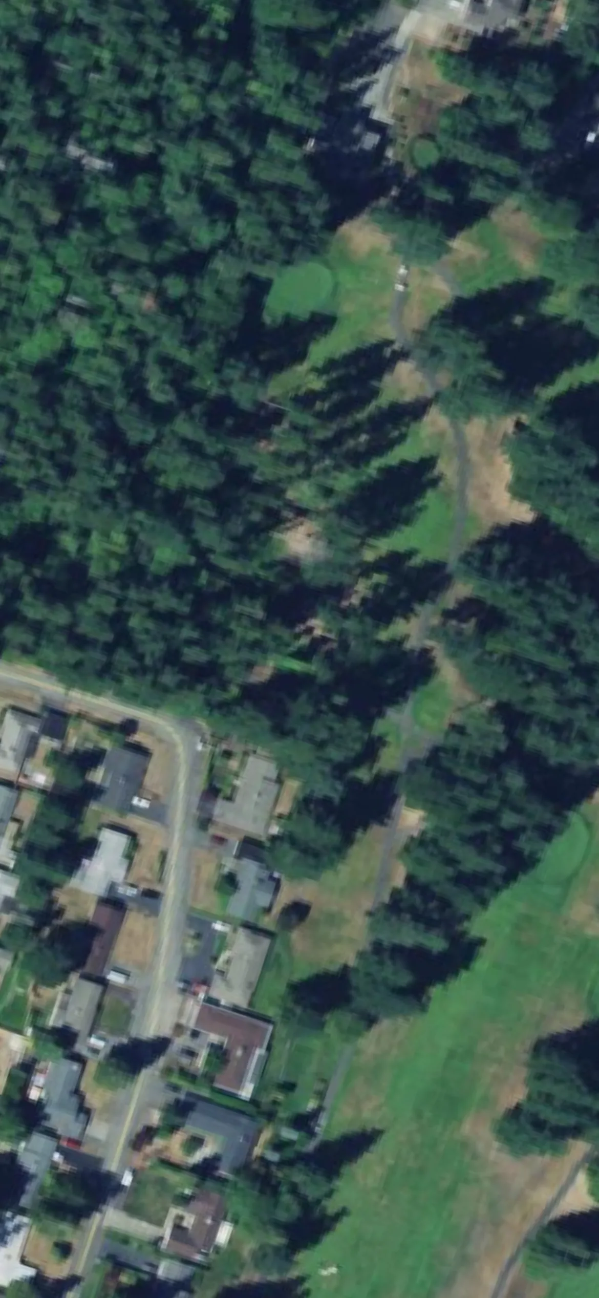 Kitsap Golf & Country Club hole 8 aerial preview, par 4, 310 yards