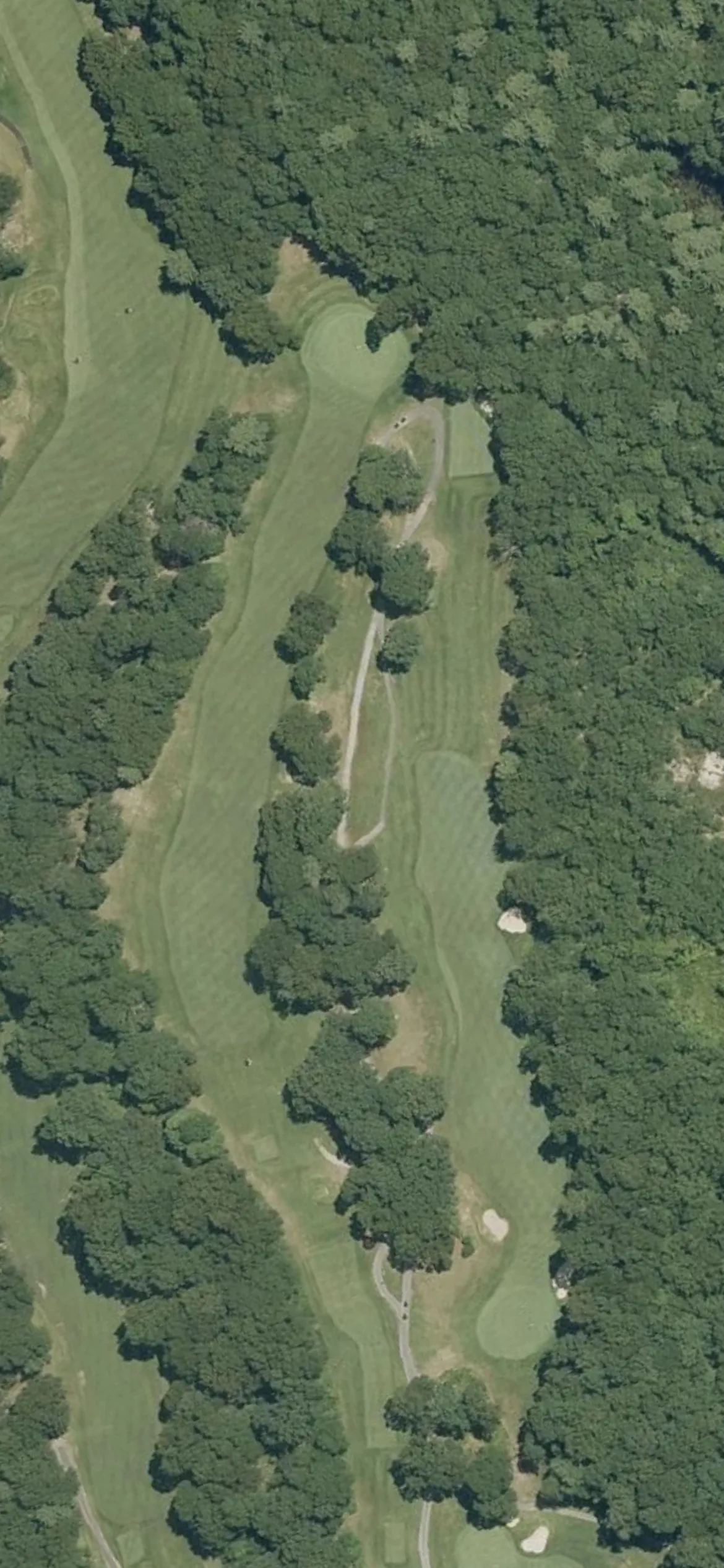 George Wright Municipal Golf Course hole 5 aerial preview, par 4, 426 yards