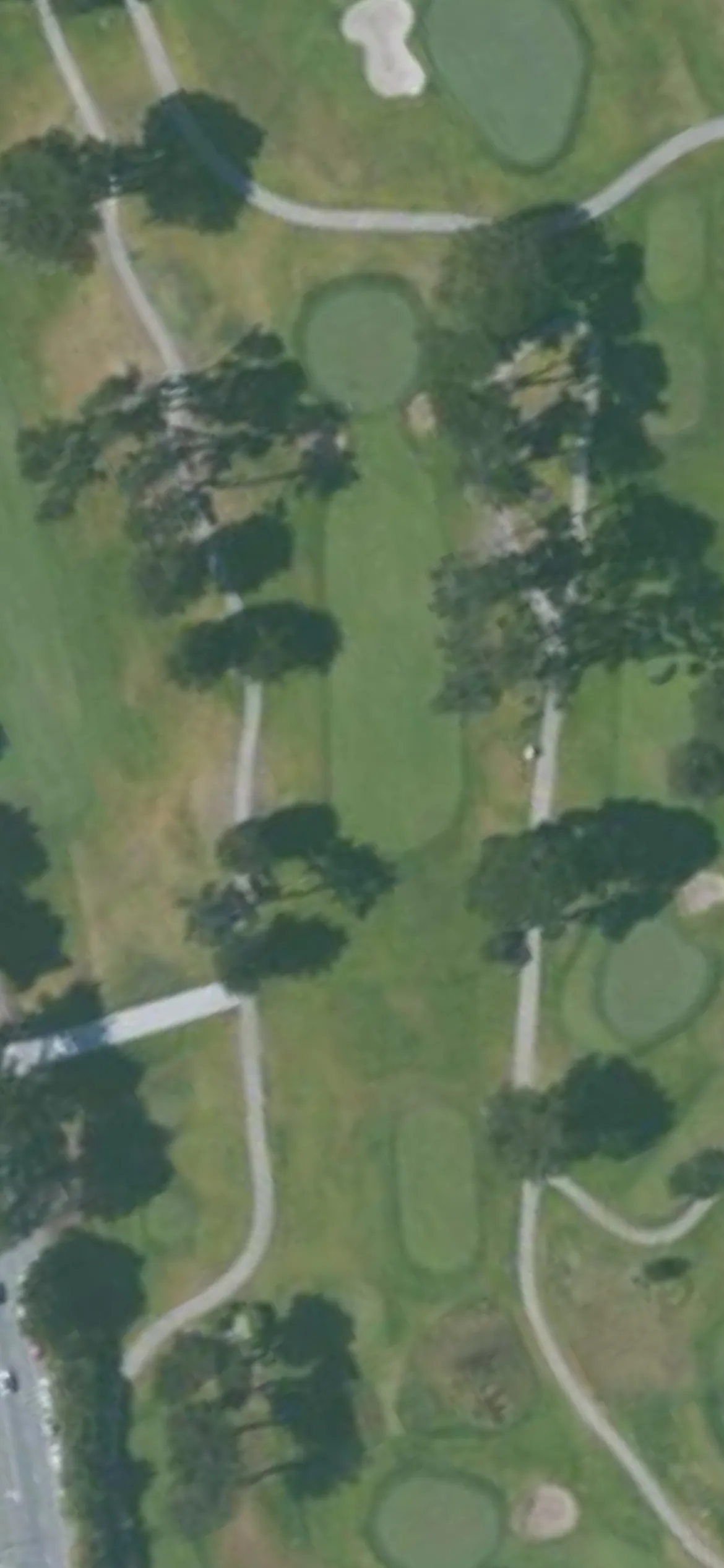 TPC Harding Park GC - Fleming hole 3 aerial preview, par 3, 189 yards