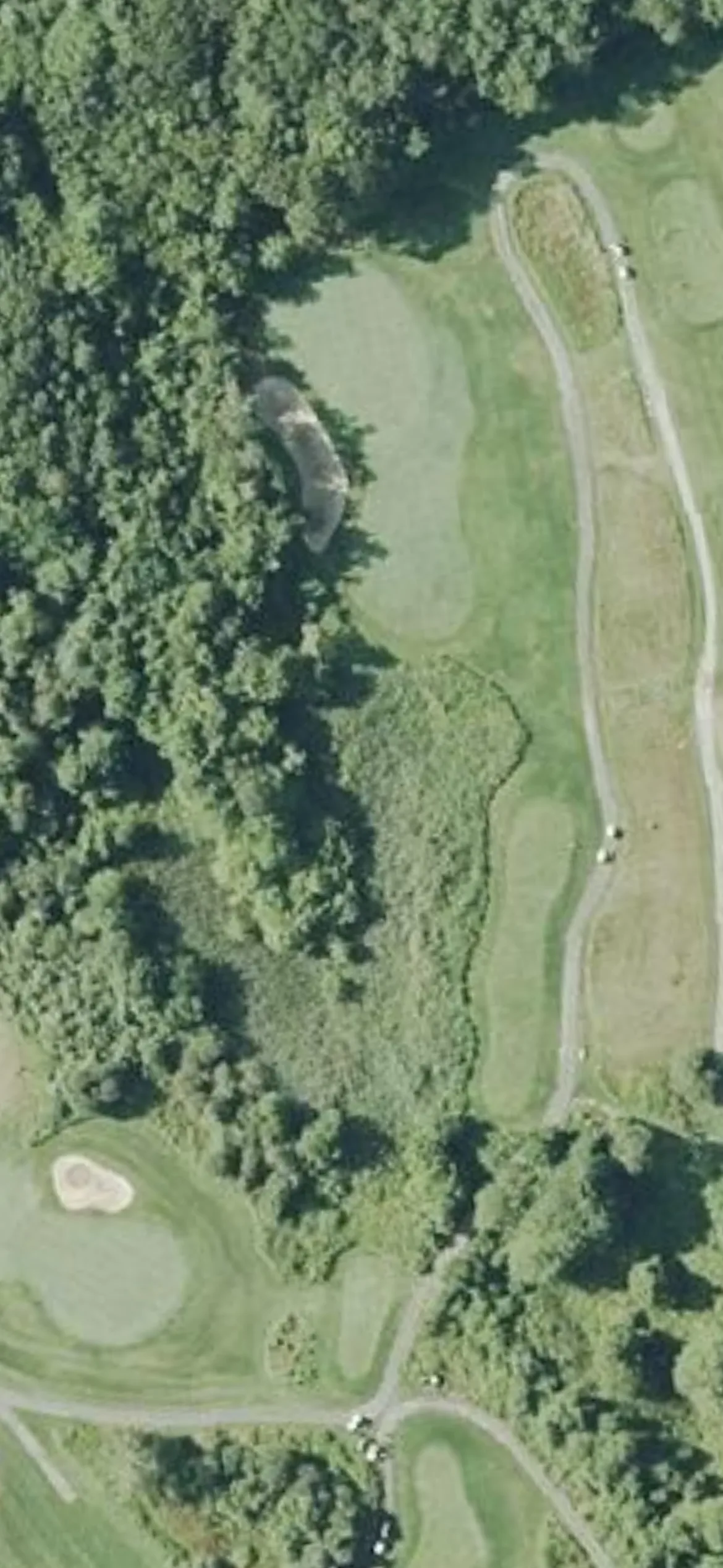 Olde Scotland Links hole 8 aerial preview, par 3, 204 yards
