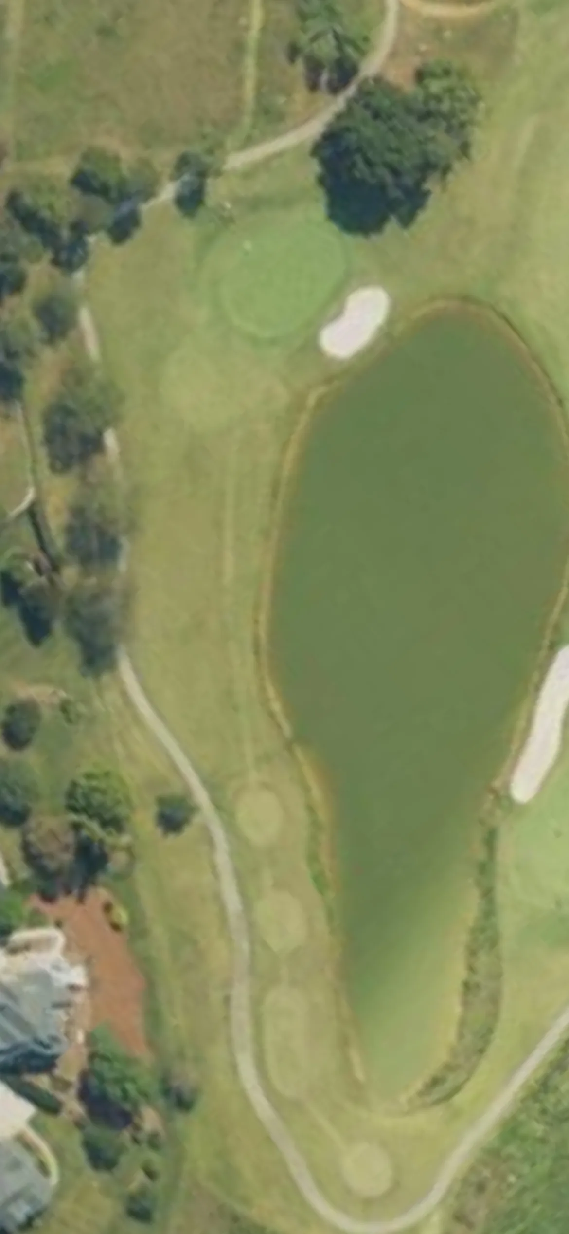 Salem Glen CC hole 8 aerial preview, par 3, 194 yards