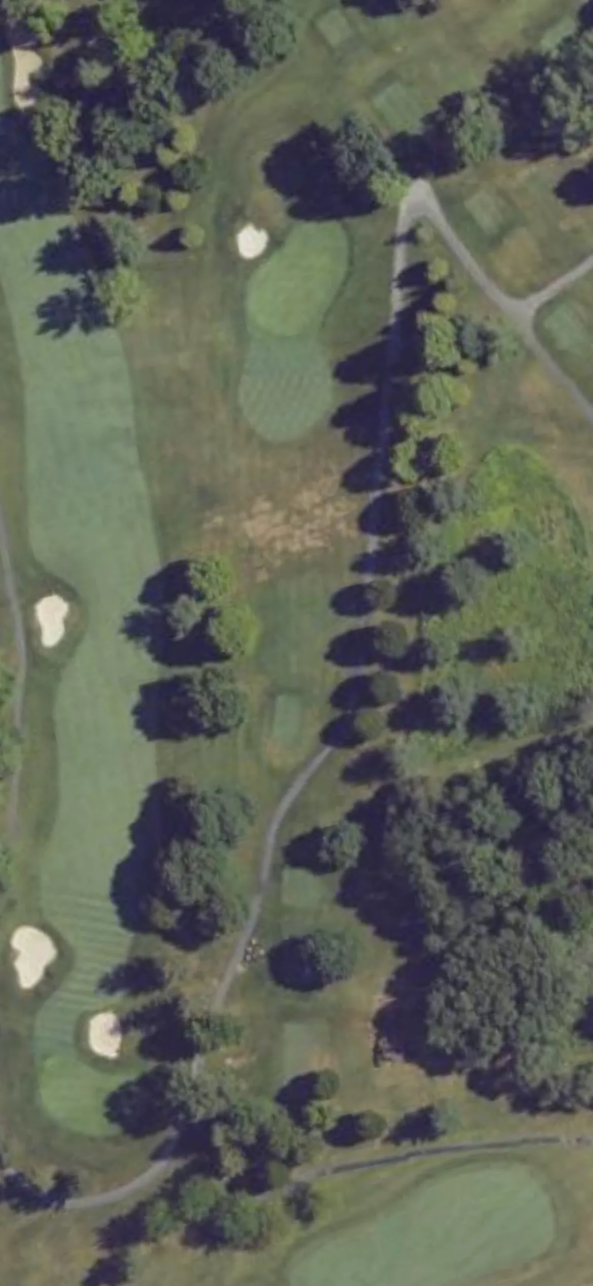 Colonial Golf & Tennis Club hole 12 aerial preview, par 3, 235 yards