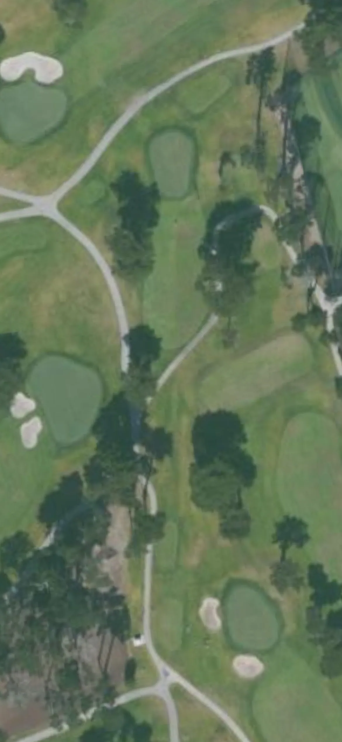 TPC Harding Park GC - Fleming hole 6 aerial preview, par 3, 201 yards