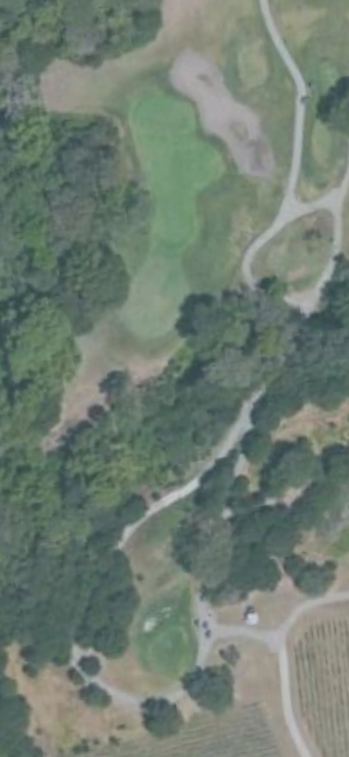 Chardonnay GC hole 16 aerial preview, par 3, 166 yards