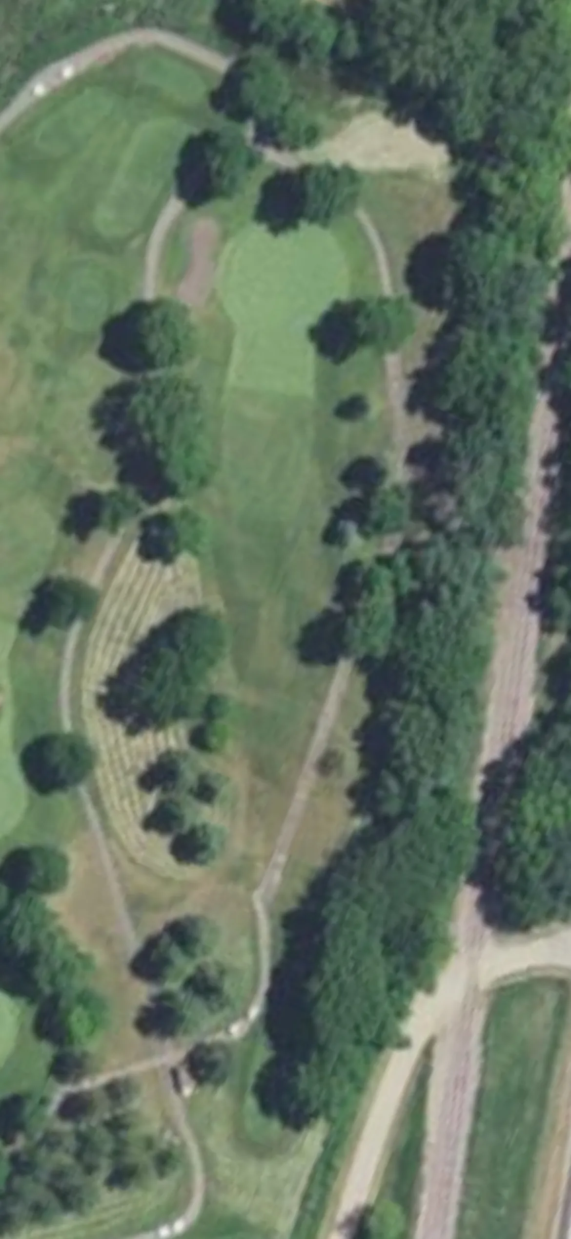 Montgomery National Golf Club hole 16 aerial preview, par 3, 184 yards